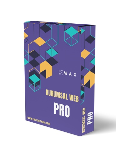 Kurumsal Web Sitesi Pro Paket
